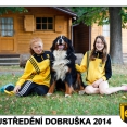 SOUSTŘEDĚNÍ DOBRUŠKA 2014